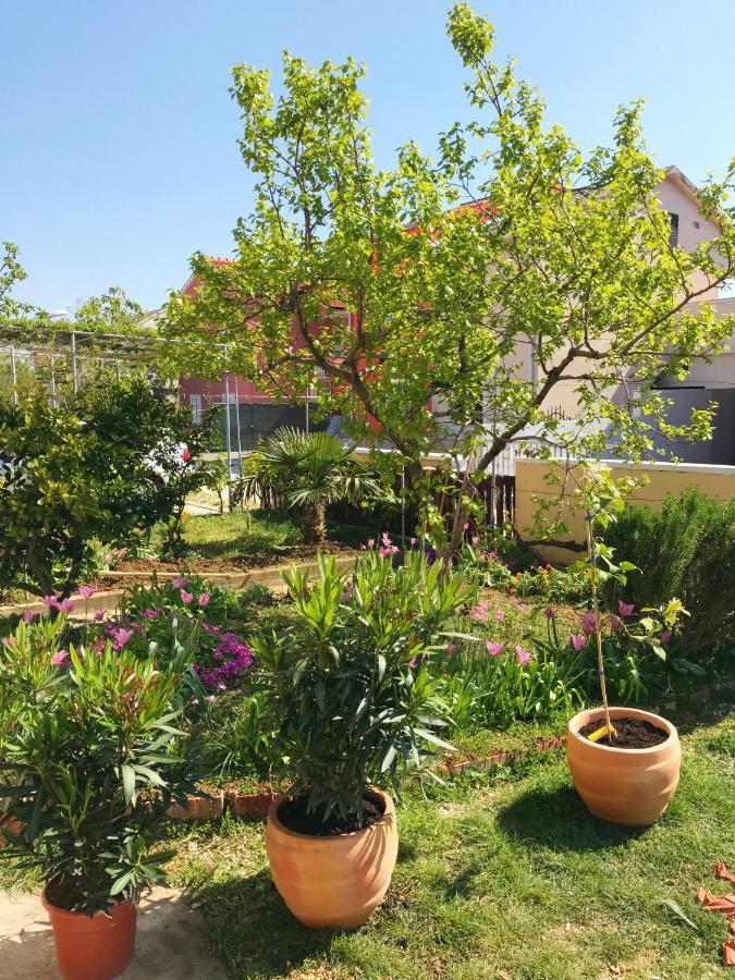 Apartmani Lavanda 브르시 외부 사진